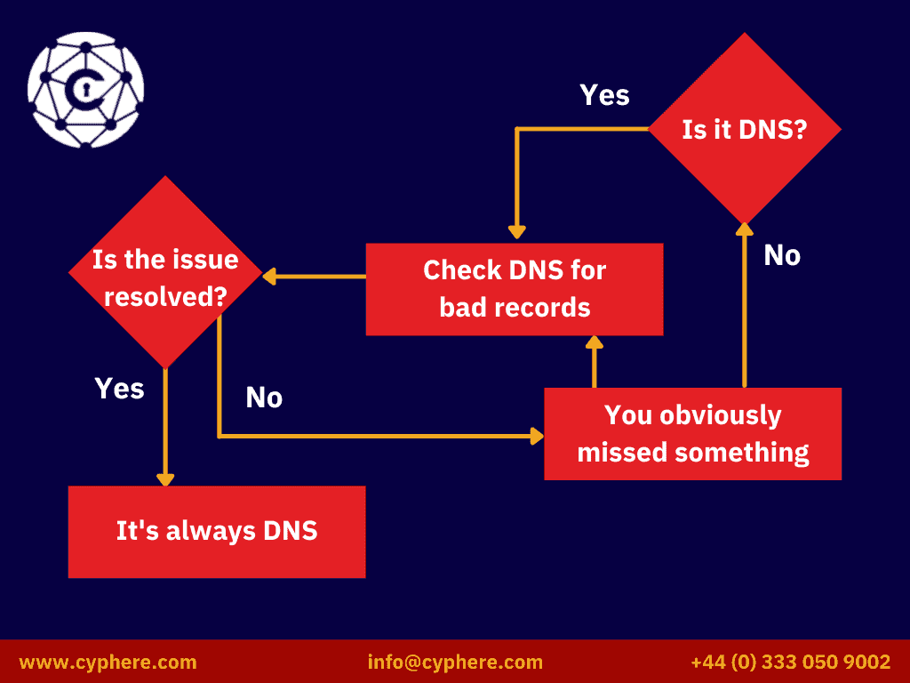 DNS cycle