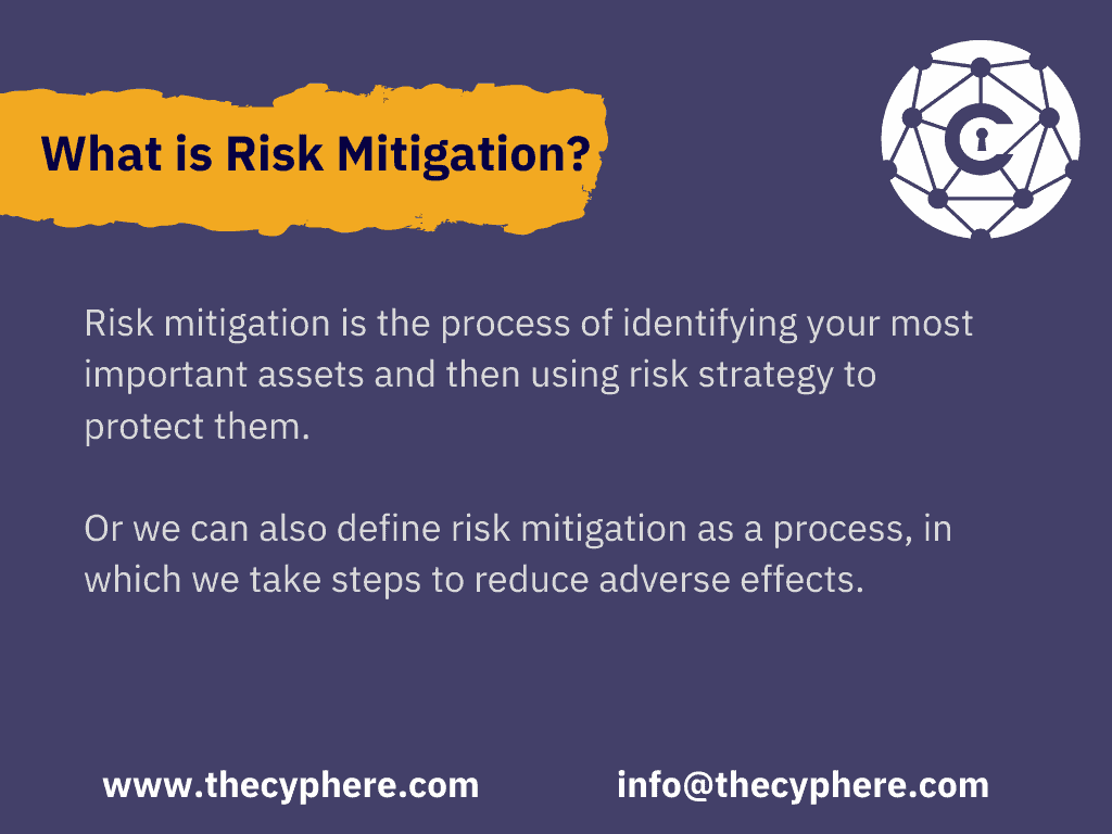 What is Risk mitigation