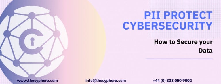 PII Protect Cybersecurity How to Secure your Data 768x292 1