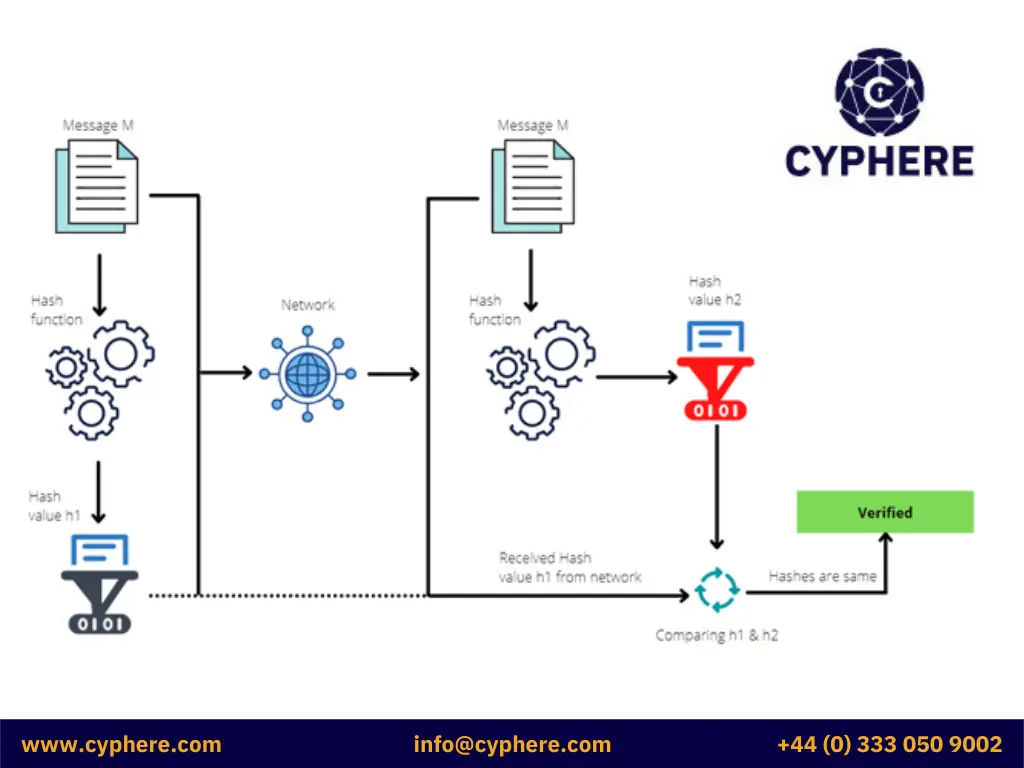 Differences between hashing and encryption and salting explained with examples 8 data integrity checks