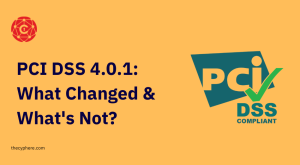 58 PCI DSS 4.0.1