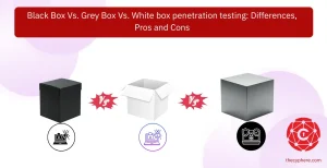 35 black box vs grey box vs white box penetration testing
