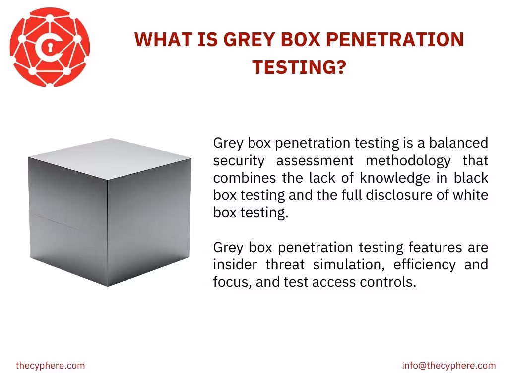 Black Box Vs. Grey Box Vs. White box penetration testing: Differences, Pros and Cons 2 grey box penetration testing
