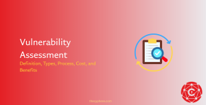 33 vulnerability assessment 1